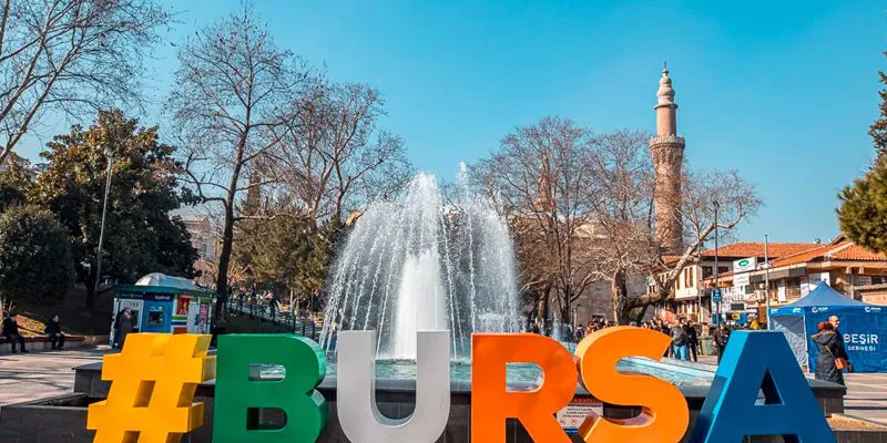 Bursa