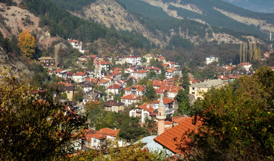 Bolu